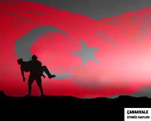 çanakkale kurtuluş savaşı resmi-3