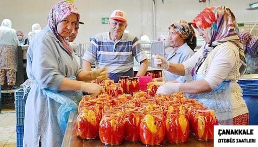 royal foods gida-1